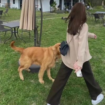 骇故事之往生刑